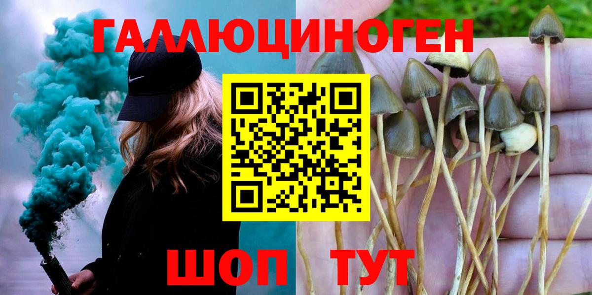 Галлюциногенные грибы Psilocybine cubensis Кувандык
